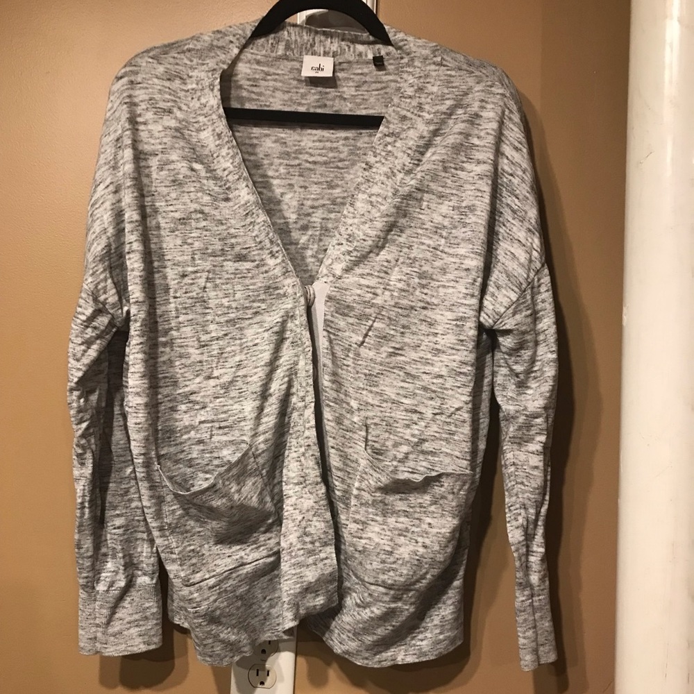 CAbi sweater